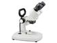 Stereomikroskop 2x (schräg) mit LED, BMS S-20-2L