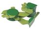 Chloroplast einer höheren Pflanze 2-teilig, 60000fach vergrößert