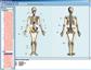 Skelett, Muskulatur und Bewegungsapparat des Menschen, CD-ROM
