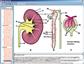 Ernährungsorgane und Stoffwechsel des Menschen, CD-ROM