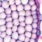 Zellenlehre (Cytologie Mensch, Tier, Pflanze) große Spezialserie, 25 Präparate