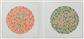 Ishihara-Test-Mappe 
