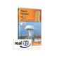 Pilze & Flechten real3D-Software, DVD