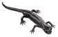 Alpensalamander, Männchen Tierplastik